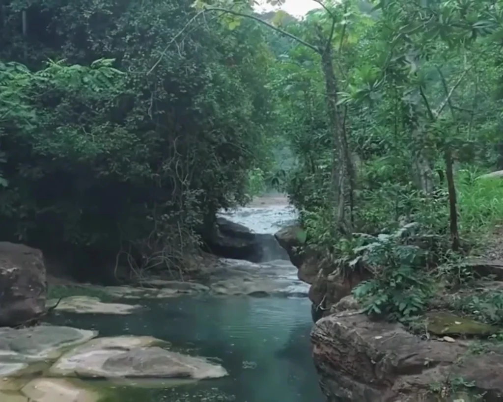 Boiling River is one of the shocking facts of amazon river