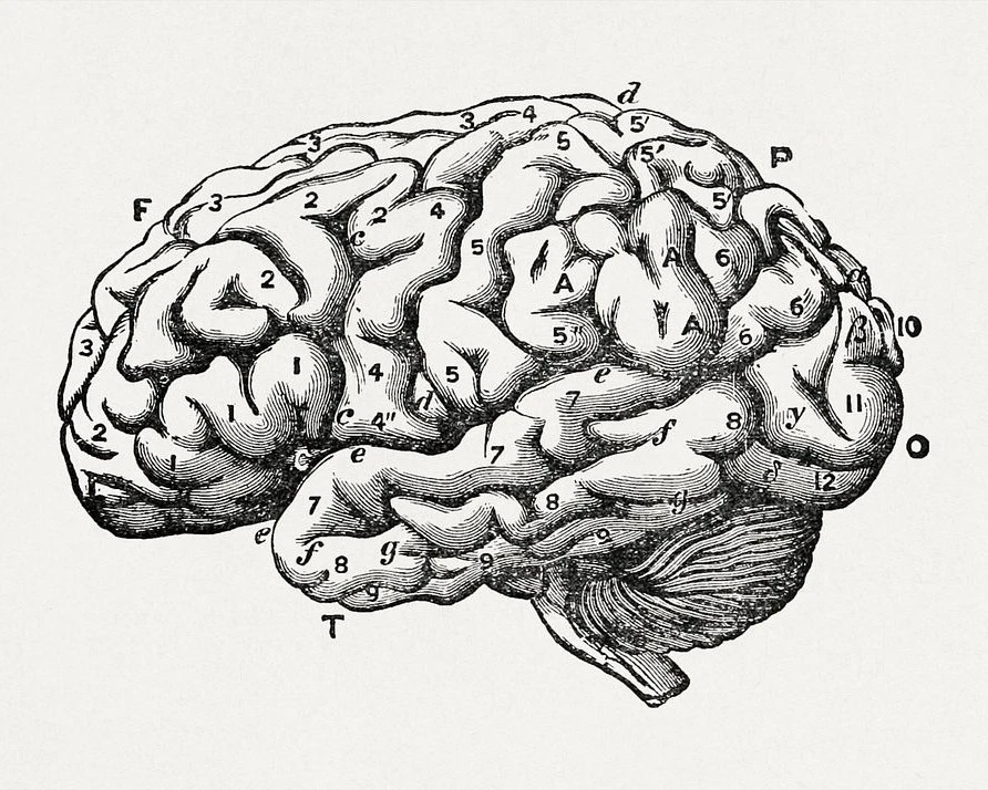 Einstein's Brain result