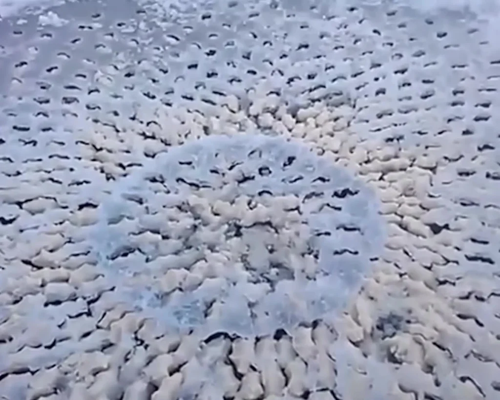 Alien Eggs is one of the mysterious things.