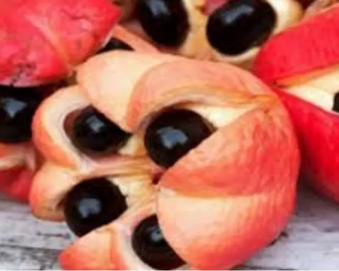 Ackee is one of the rare fruits