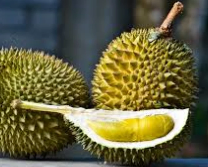 Durian is one of the rare fruits