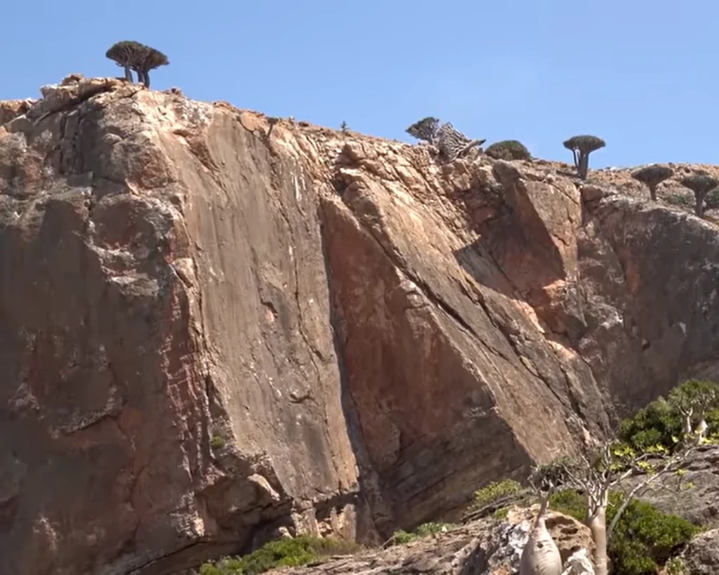Socotra is one of the strange places on earth