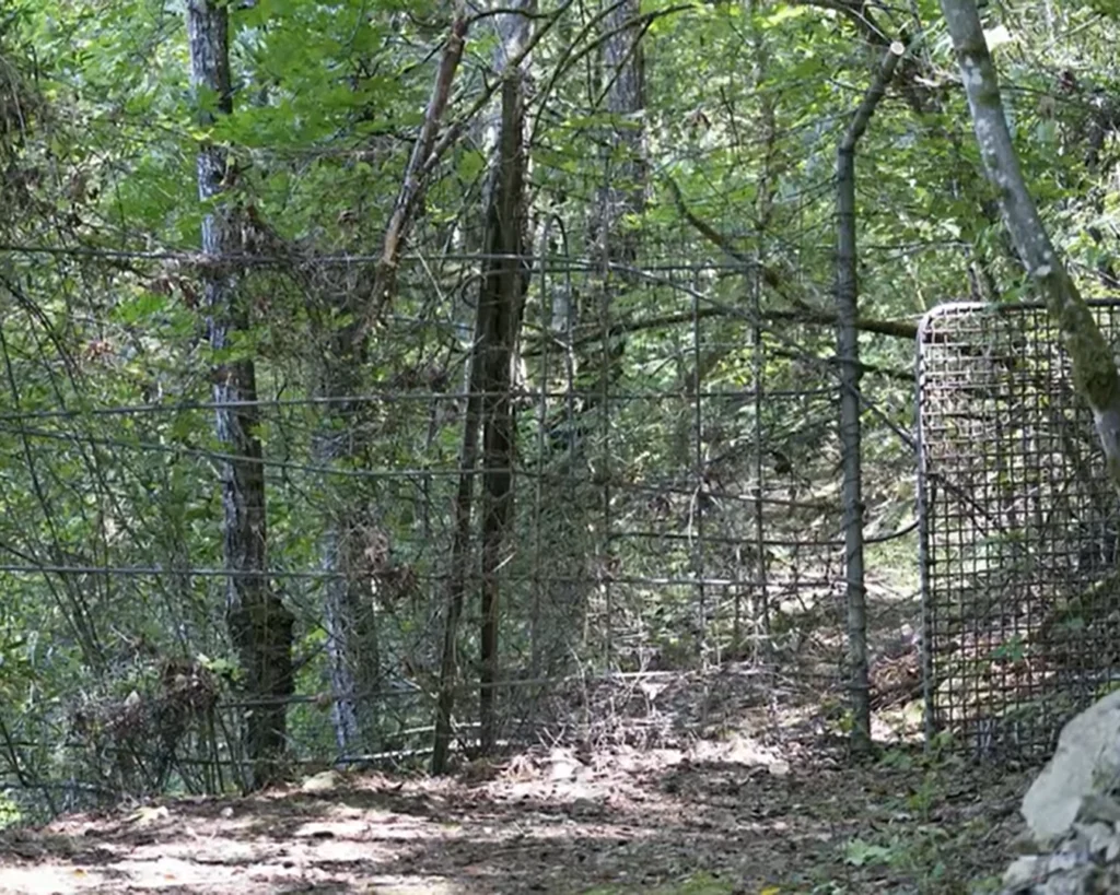 Bohemian Grove is one of the forbidden places in the world