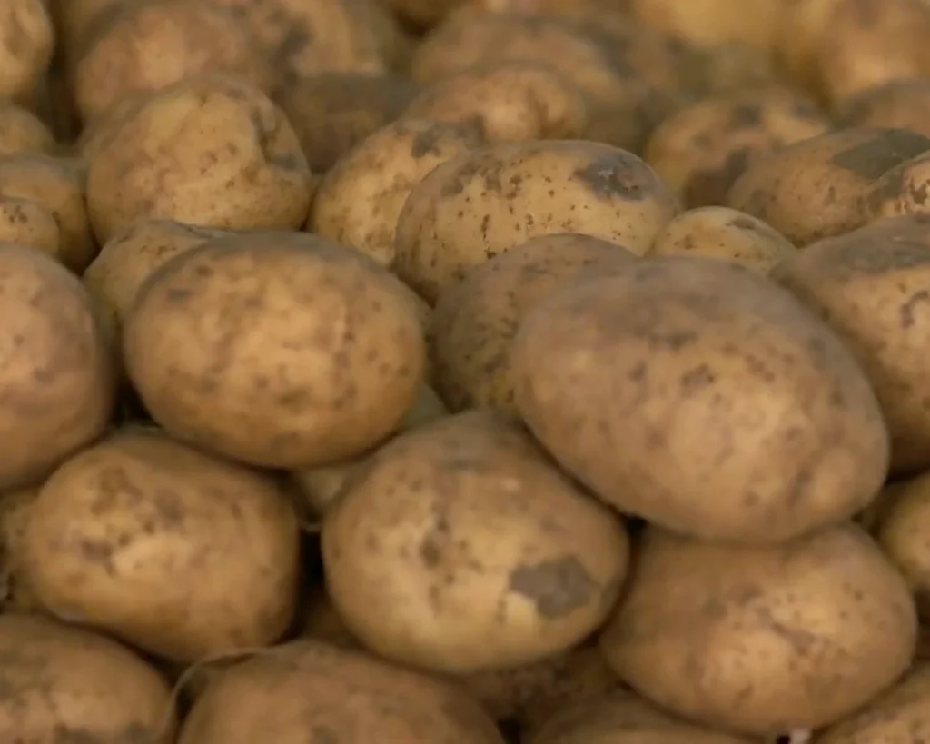 Potato Law is one of the unusual laws arround the world