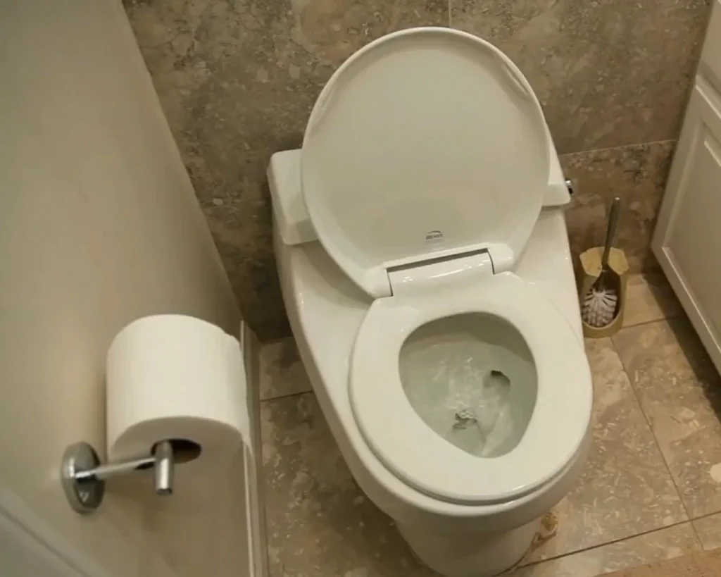 Toilet Flush Law is one of the unusual laws arround the world