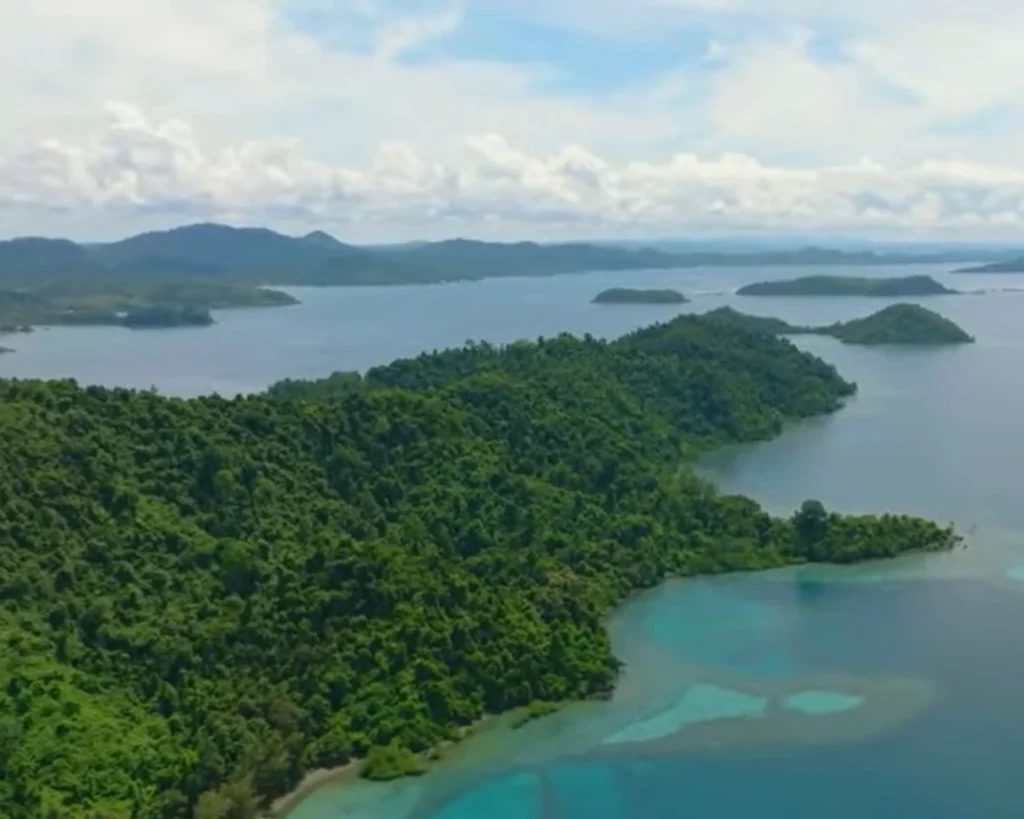 Borneo Rainforest is one of the largest forests in the world