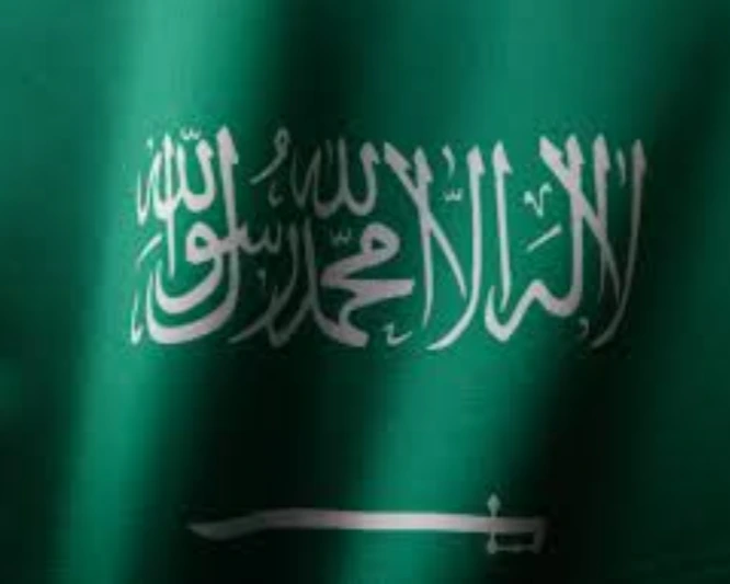 Saudi Arabia is one of the world's biggest countries by area