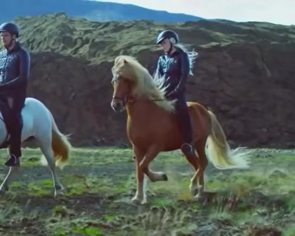 Icelandic Horses is one of the amazing facts about Iceland