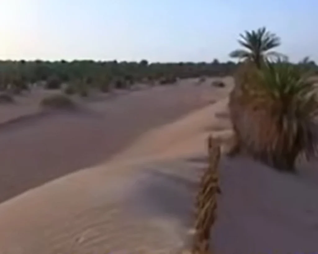 Irrigation System is one of the amazing facts about Algeria