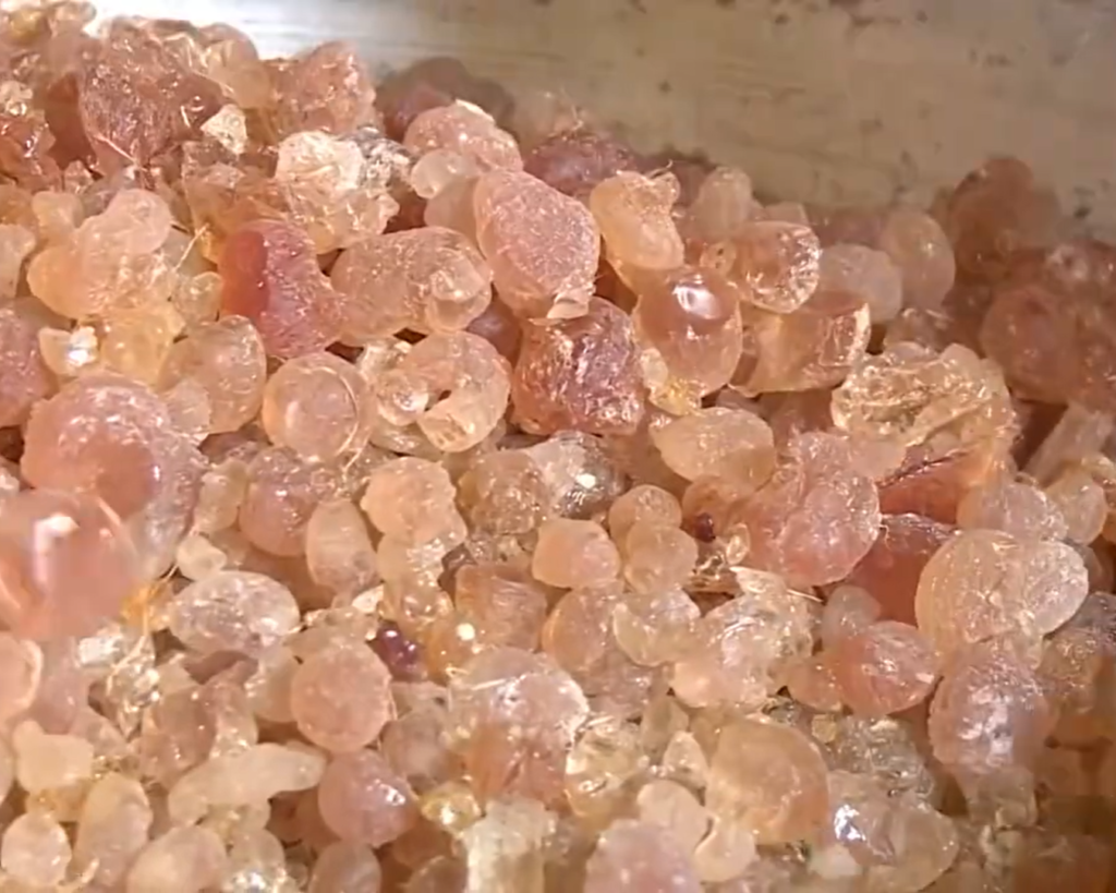Gum Arabic is one of the amazing facts about Sudan