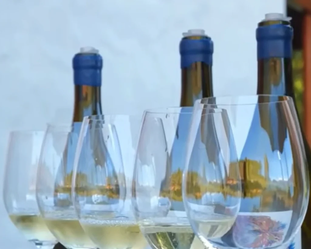 Wine Hub is one of the amazing facts about South Africa