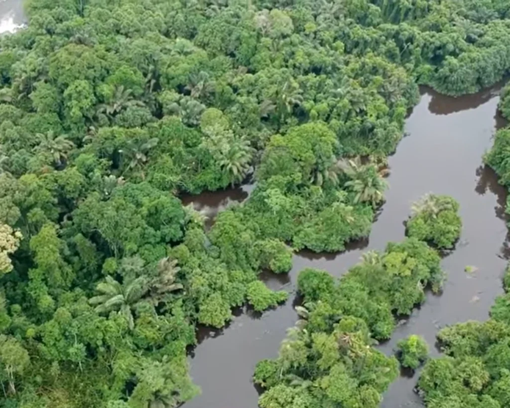 Wettest Place is one of the amazing facts about Cameroon