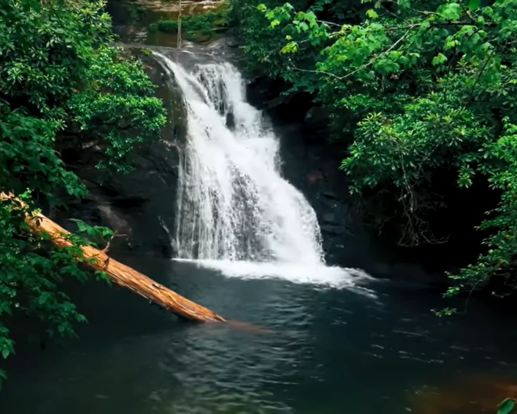Blue Hole Falls is one of the amazing facts about South Carolina