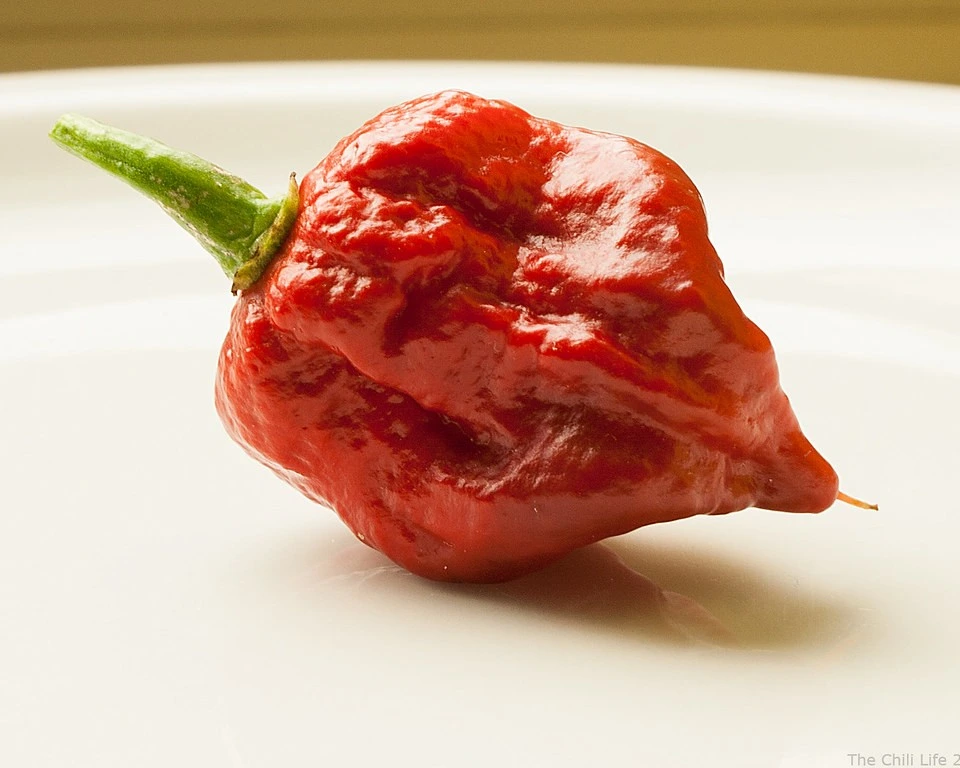 Carolina Reaper is one of the amazing facts about South Carolina