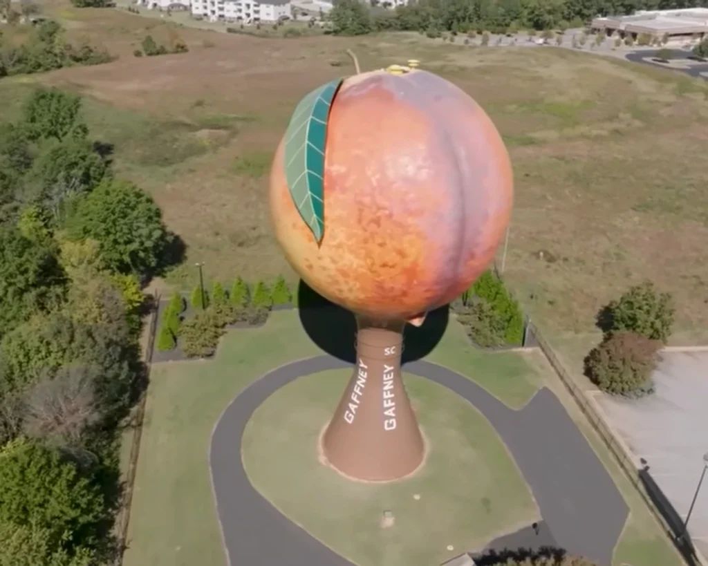 Giant Peach is one of the amazing facts about South Carolina