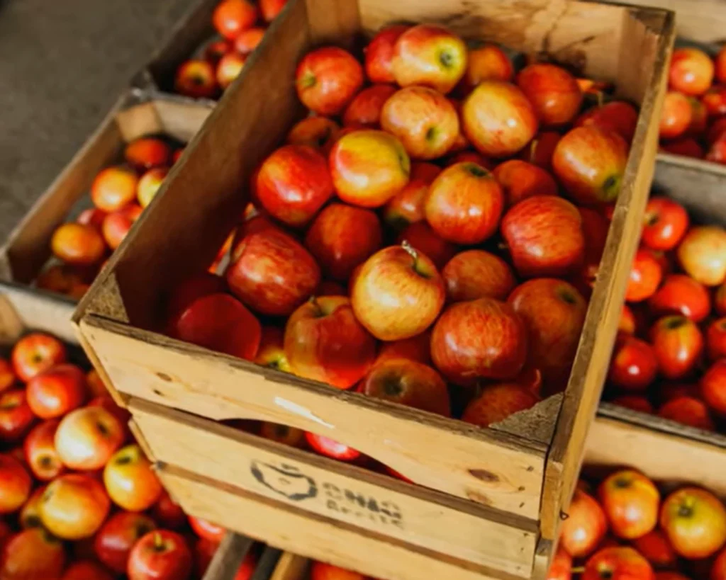 Apple Isle is one of the amazing facts about Tasmania