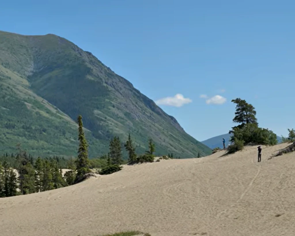 Carcross Desert is one of the best places to visit in Yukon