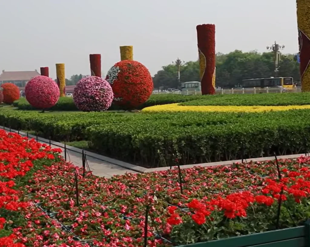 Dubai Miracle Garden is one of the interesting facts about Dubai