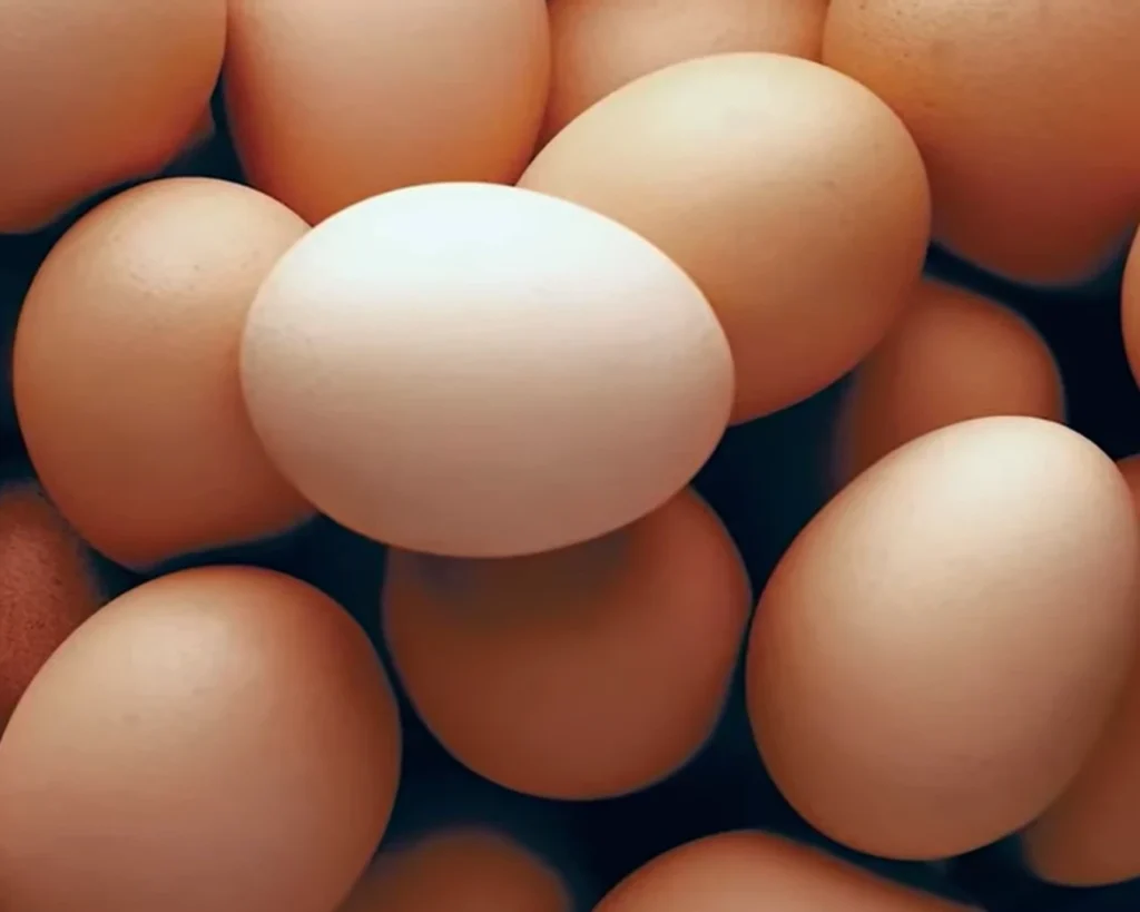 Egg is one of the best protein rich superfoods