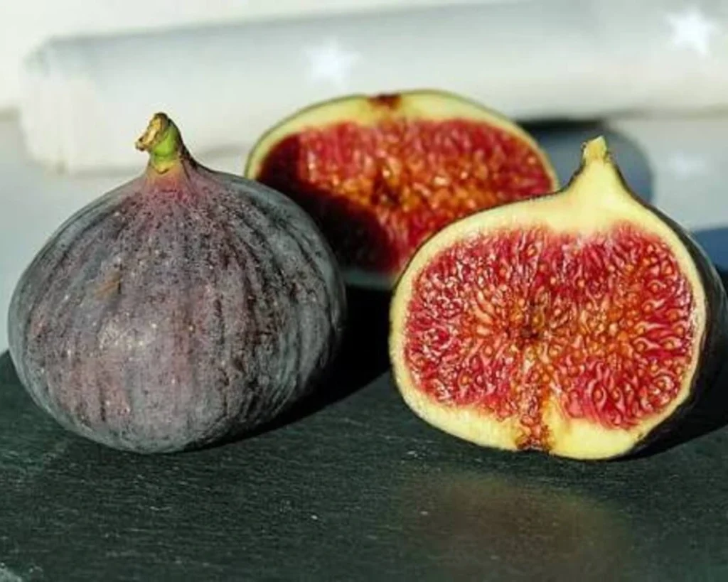 Fig is one of the best foods that reverse aging