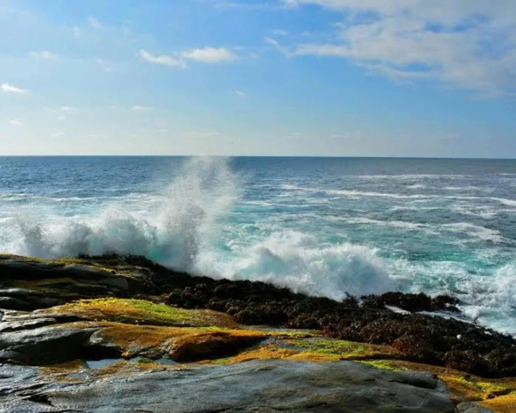  Ocean's Behaviour is one of the dangerous events