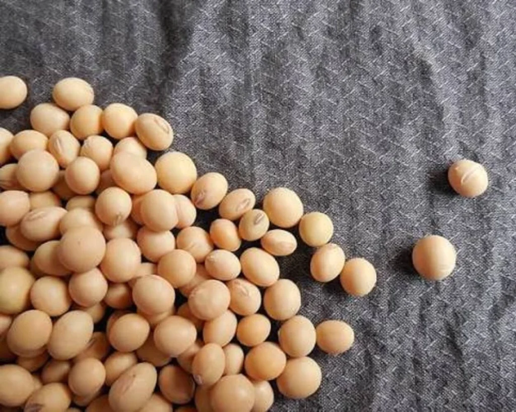 Soybean is one of the creatine rich superfoods