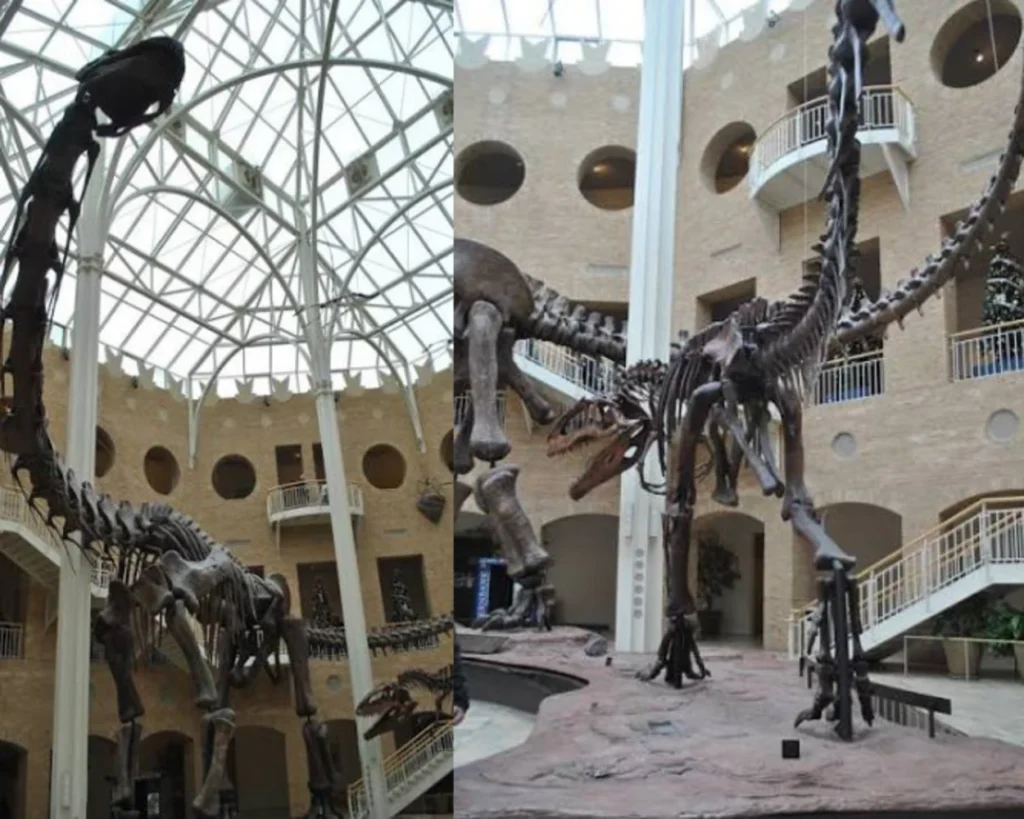 Largest Dinosaur is one of the interesting facts about Argentina