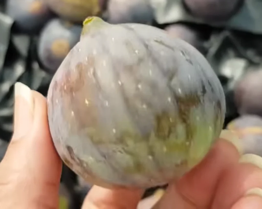 Fig is one of the best fruits
