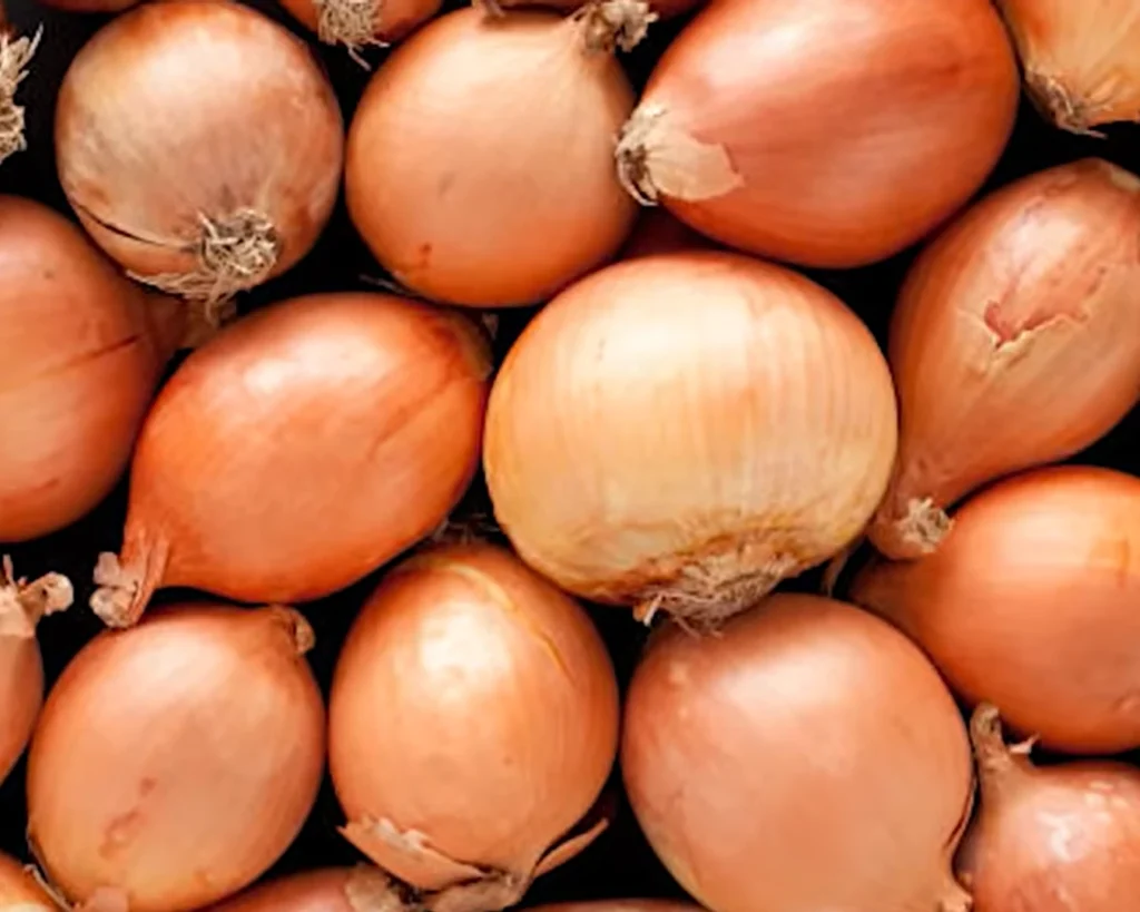 Onion is one of the best vegetables to eat
