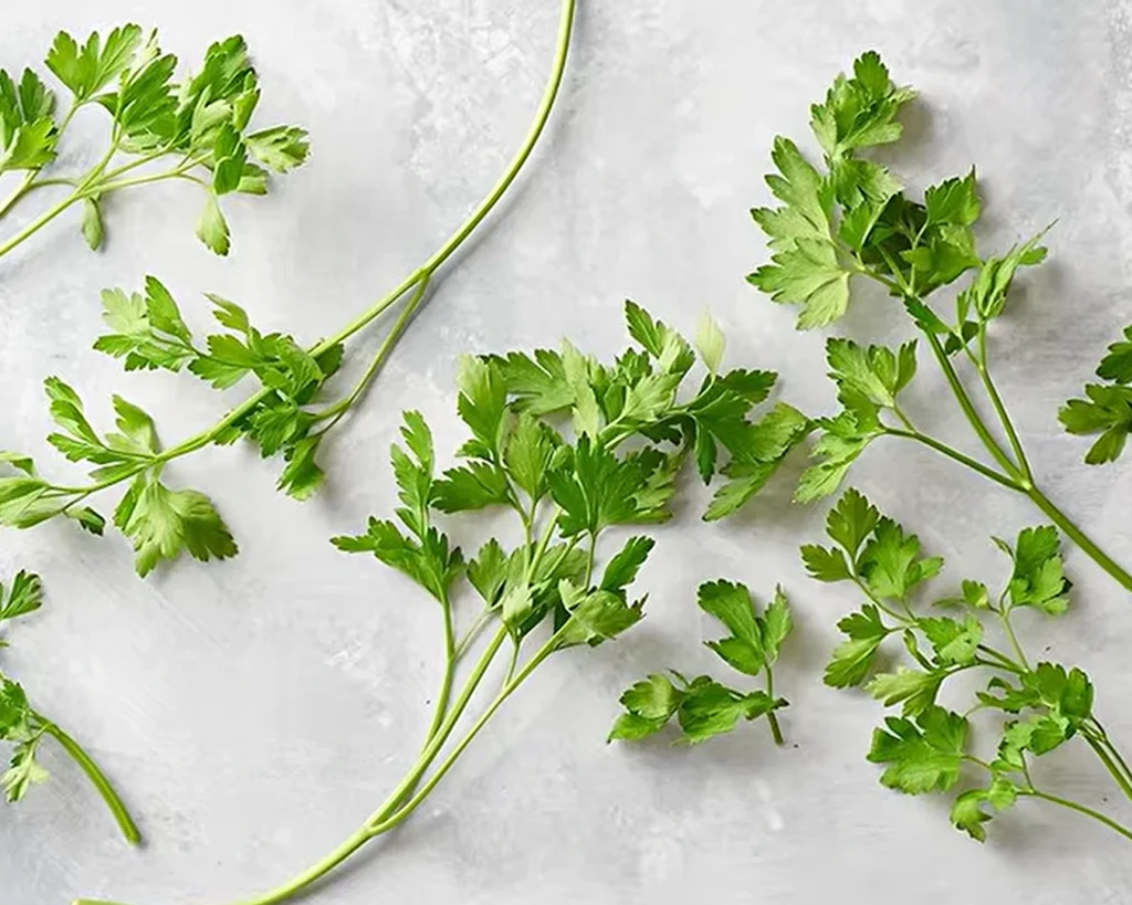 Parsley is one of the best cleansing foods